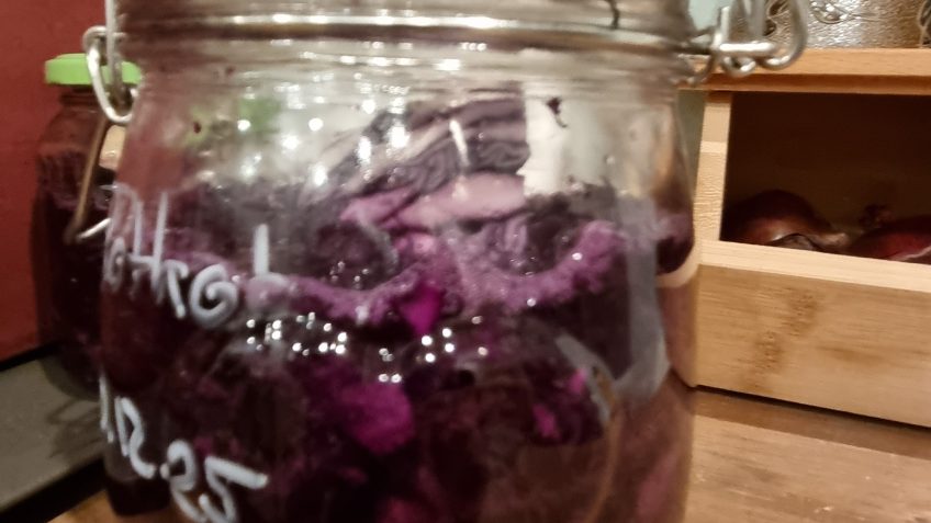 fermentierter Rotkohl
